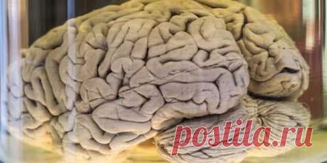 Screenshot - af92d1af4ee5a5252e0a71ac066b2a87 - Gyazo