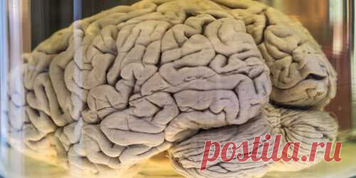 Screenshot - af92d1af4ee5a5252e0a71ac066b2a87 - Gyazo