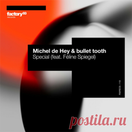 Michel De Hey, bullet tooth, Feline Spiegel - Special | 4DJsonline.com