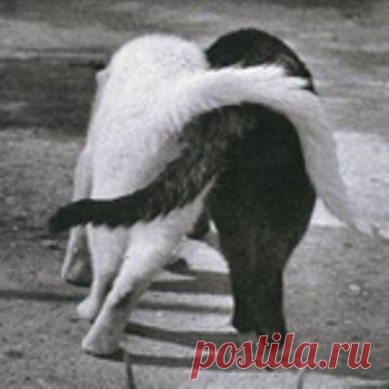 И снова к нам пришла весна