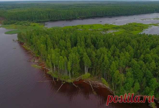 Остров Святовский Мох: почему туристам не стоит его посещать Плавучий остров в России Святовский Мох, представляющий торфяной пласт, очень опасно посещать туристам, но этого мало кого останавливает.