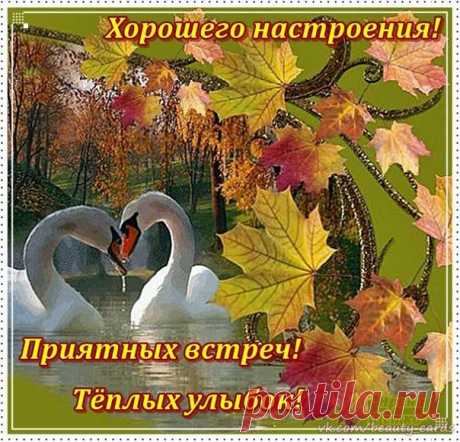 Хорошее настроение » Музыкальные открытки
