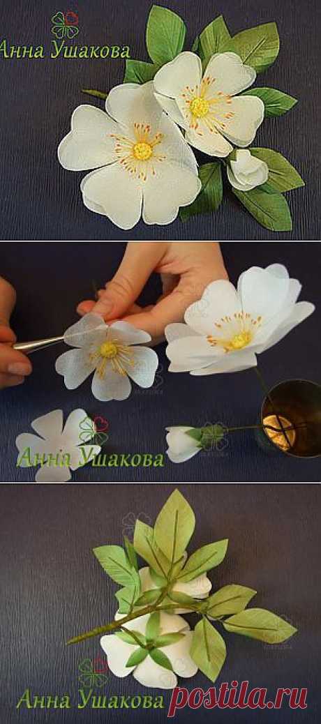 Веточка шиповника из натурального шелка. Брошь - цветок. - Ярмарка Мастеров - ручная работа, handmade