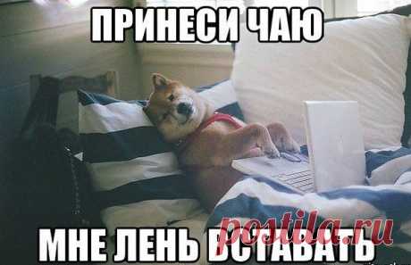 Интересные новости
