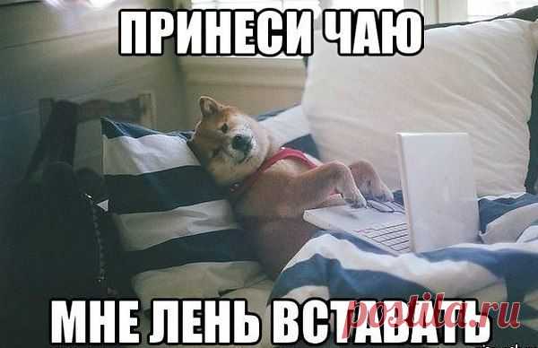 Интересные новости