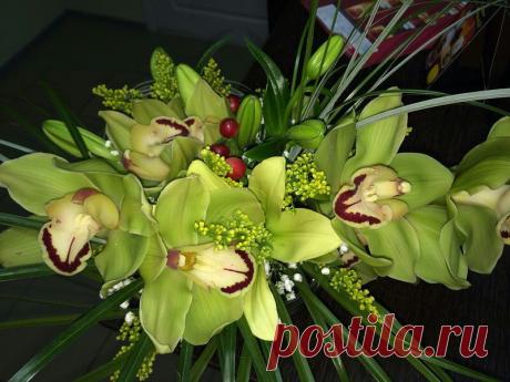 (62) Одноклассники