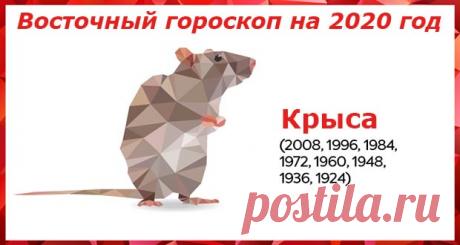 Восточный гороскоп на 2020 год Крыса: женщины и мужчины