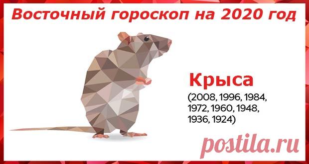 Восточный гороскоп на 2020 год Крыса: женщины и мужчины