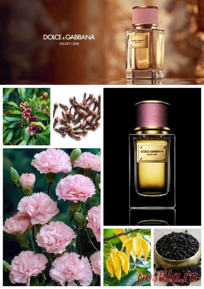 Velvet Love Dolce&Gabbana: любовь с первого вдоха | FazaАромата. Блог о парфюмерии | Пульс Mail.ru