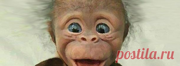 Дневник домового. | pokolenie-x.com
