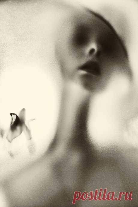 Фото и рисунки, арт и креативная реклама