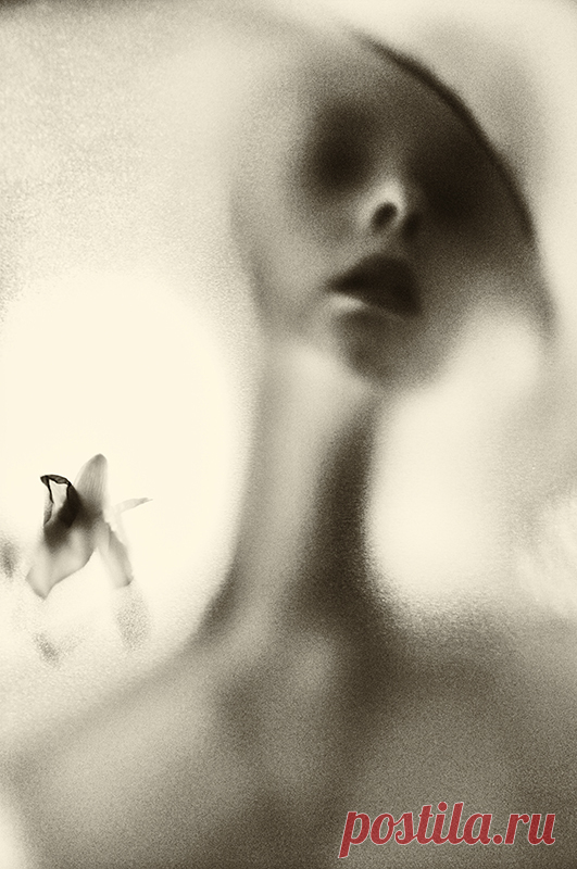 Фото и рисунки, арт и креативная реклама