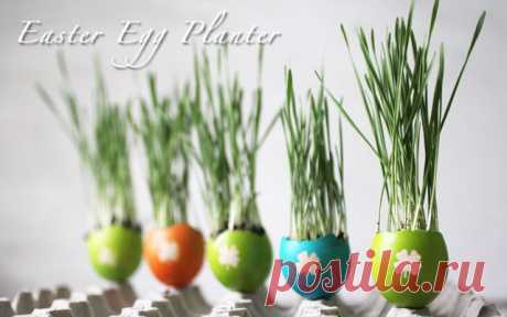 DIY Colorful Easter Egg Planters