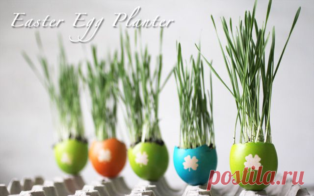 DIY Colorful Easter Egg Planters