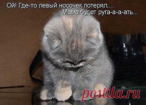 Послушный какой