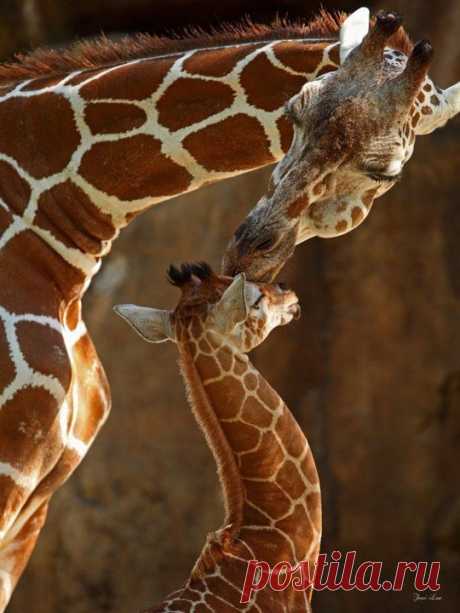 Мой Мир@Mail.Ru