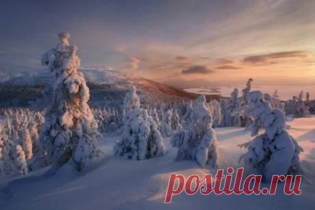 35photo.ru - Google+