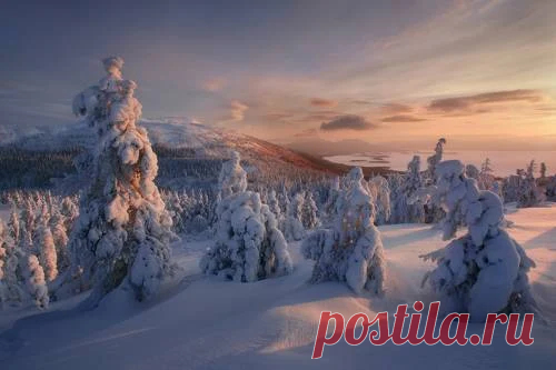 35photo.ru - Google+