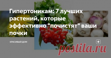 Гипертоникам: 7 лучших растений, которые эффективно "почистят" ваши почки Изучите эти несколько простых способов снять нагрузку на ваши почки и они смогут лучше справляться со своими функциями.