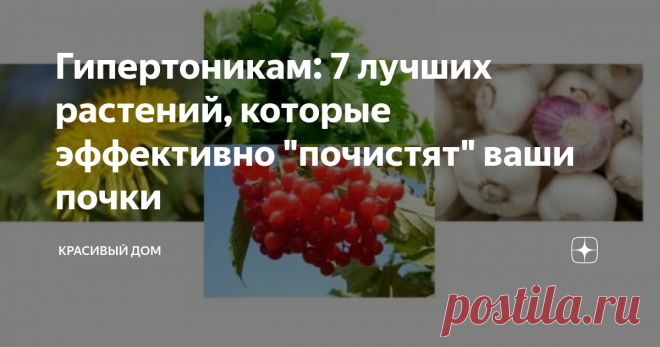 Гипертоникам: 7 лучших растений, которые эффективно 