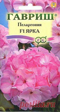 Пеларгония зональная "Ярка F1"