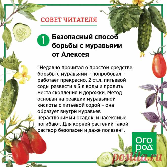 7 лучших советов наших читателей, которые мы получили в мае