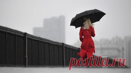 «Среднесуточная температура будет ниже нуля»: синоптики заявили о смене погоды в столичном регионе на предстоящей неделе. В столичном регионе на следующей неделе ожидаются продолжительные дожди и понижение среднесуточной температуры до отрицательных значений. Как рассказал RT научный руководитель Гидрометцентра России Роман Вильфанд, заметное похолодание начнётся после среды, 15 ноября. Вместе с тем синоптики придерживаются мнения, что формирование устойчивого снежного покрова пока не…