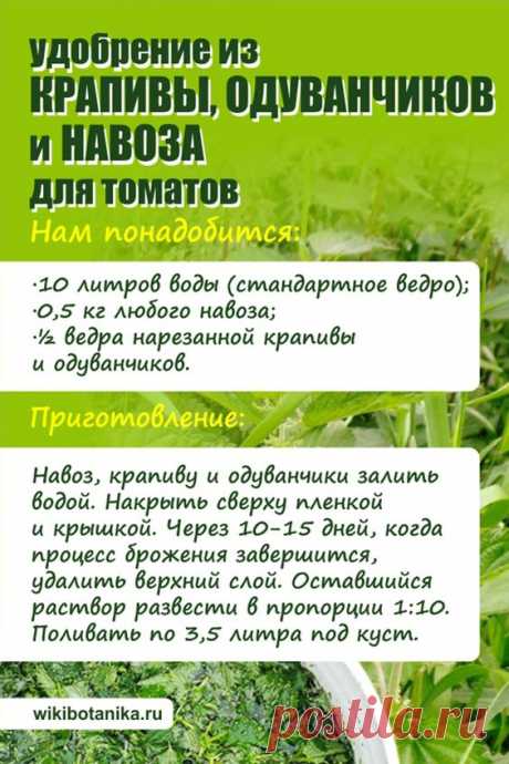 Хотите отличный урожай томатов? Подкормите их этим удобрением. #растения #сад #огород #дача #томаты #удобрение #подкормка #овощи #помидоры
 ПОДКОРМКИ ОВОЩЕЙ