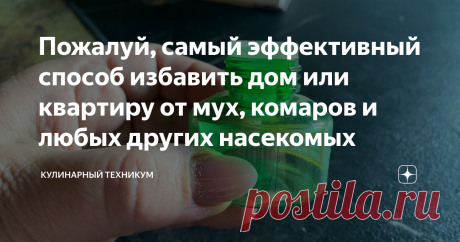 Пожалуй, самый эффективный способ избавить дом или квартиру от мух, комаров и любых других насекомых Статья автора «КУЛИНАРНЫЙ ТЕХНИКУМ» в Дзене ✍: Ни одна не залетит ни в окна, ни в двери. А сам способ один из наиболее дешевых. Я уже успела его опробовать и осталась очень довольна.