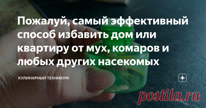 Пожалуй, самый эффективный способ избавить дом или квартиру от мух, комаров и любых других насекомых Статья автора «КУЛИНАРНЫЙ ТЕХНИКУМ» в Дзене ✍: Ни одна не залетит ни в окна, ни в двери. А сам способ один из наиболее дешевых. Я уже успела его опробовать и осталась очень довольна.