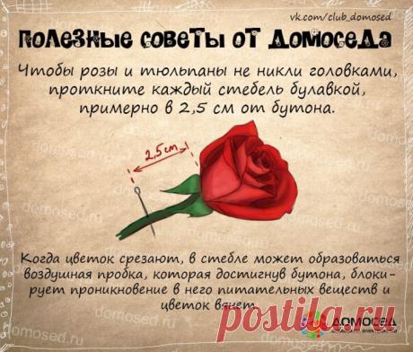 Полезные хозяйственные советы (часть 3)