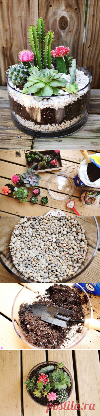 Красивый террариум