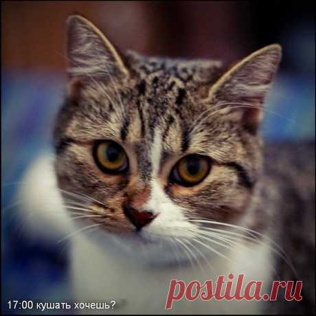 слова не нужны