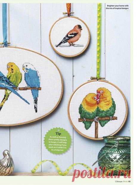 Ultimate Cross Stitch Birds №18 2018.