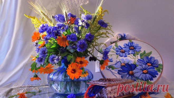 Натюрморты Живет повсюду красота