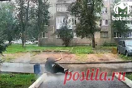 Взрыв пивной кеги из-за упавшего на нее россиянина сняли на видео