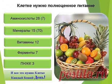 (65) Одноклассники