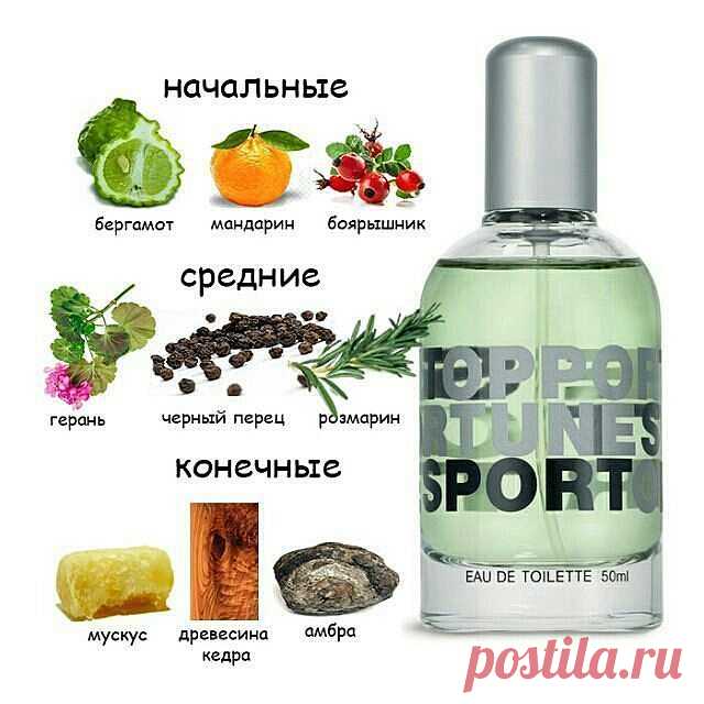 ПОДАРКИ НА 23 ФЕВРАЛЯ!🎁В меру свежий, в меру пикантный, но однозначно пьянящий аромат - OPPORTUNE™ Sport, наполняющий уххх какой энергией. ✨На начальных нотах аромата чувствуется сильные цитрусовые тона, звучащие на фоне аромата острого черного перца и боярышника. Длится это минут 15. ✨Развиваясь, аромат приобретает сначала запах герани, черного перца и розмарина, держащийся 2-4 часа, что называется средней нотой раскрытия. ✨И заключительные ноты, конечные, это по-настоящ...