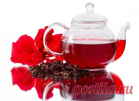 Полезные свойства чая каркаде 
Чай каркаде производится из лепестков гибискуса. Гибискус родом из Индии. Гибискус из семейства мальвовых, которые встречаются как однолетние растения, так и многолетние кустарники. Насчитывается из …