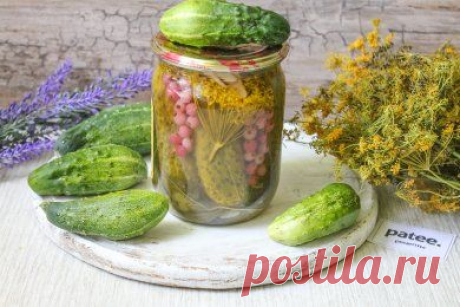 Маринованные огурцы с красной смородиной - рецепт с фотографиями