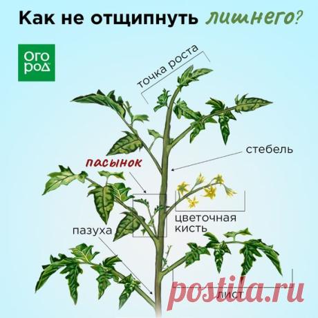 Важно знать новичку!