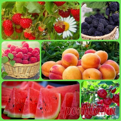 КУСОЧЕК СЛАДКОГО АРОМАТНОГО ЛЕТА ВАМ В ЛЕНТУ!