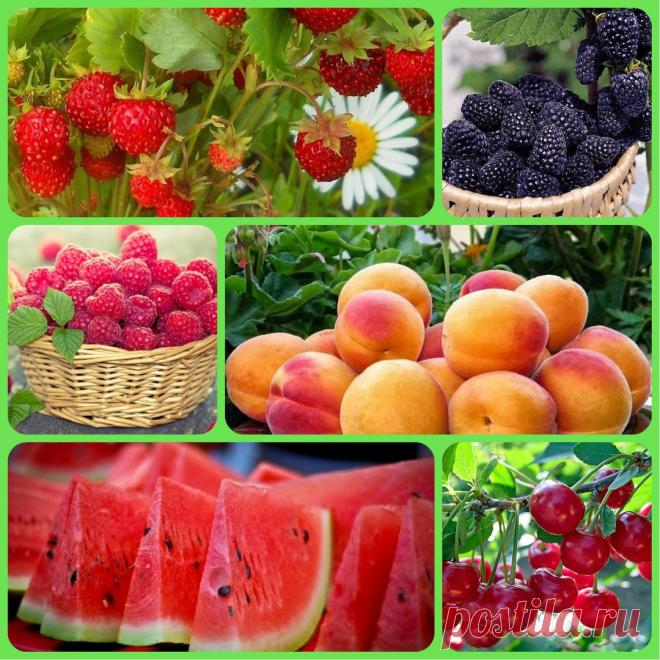 КУСОЧЕК СЛАДКОГО АРОМАТНОГО ЛЕТА ВАМ В ЛЕНТУ!