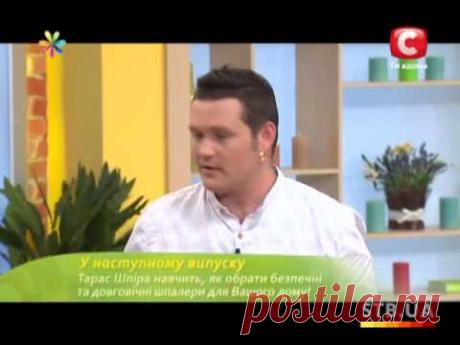 Как поливать растения в отпуске - Все буде добре - Выпуск 200 - 13.06.2013 - Все будет хорошо