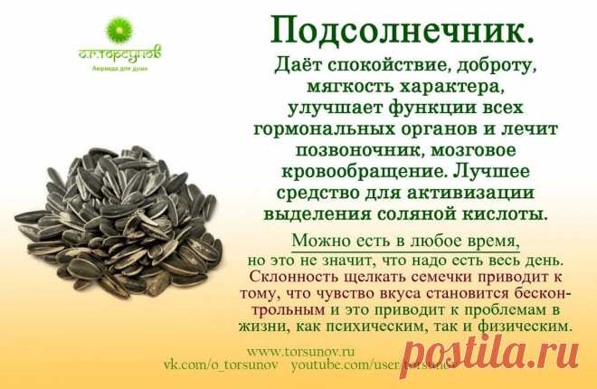 Подсолнечник