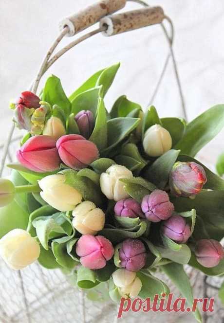 *Магия цвета※Магия цвета* – в Google+
