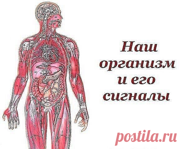 ~~~ Вот такую ПАМЯТКУ надо иметь у себя под рукой всегда, ДеЛюСь ею с вами, уносите себе на странички→↓ ~~~

°•○●Наш организм и его сигналы.●○•°

Врачи уверены, что в нашем организме «вдруг» ничего не бывает. 
И даже малейшие изменения в нашей внешности утром говорят о том, что со здоровьем что-то пошло не так… 
Мало кто из нас подвергается регулярному медосмотру. Но предупредительные сигналы организма о начинающихся неполадках мы можем рассмотреть сами на открытых участка...