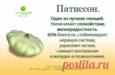 Патиссон