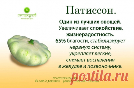 Патиссон