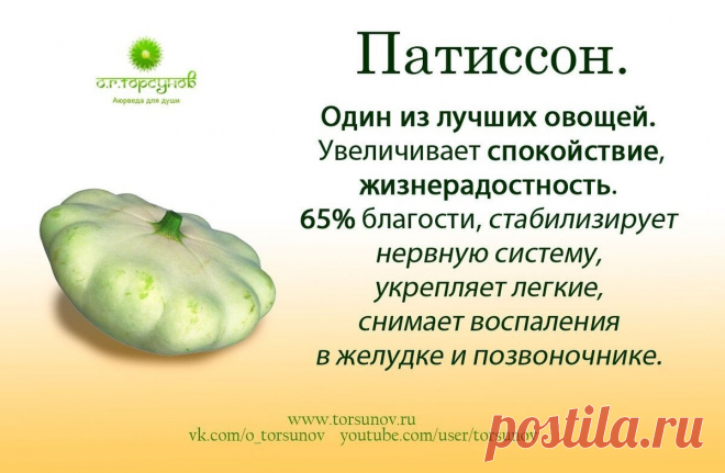 Патиссон